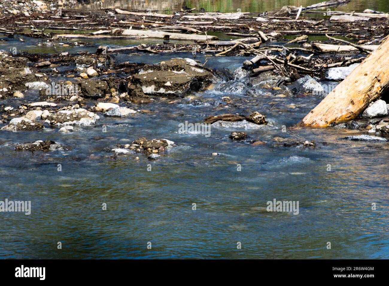 Il fiume scorre in primavera Foto Stock