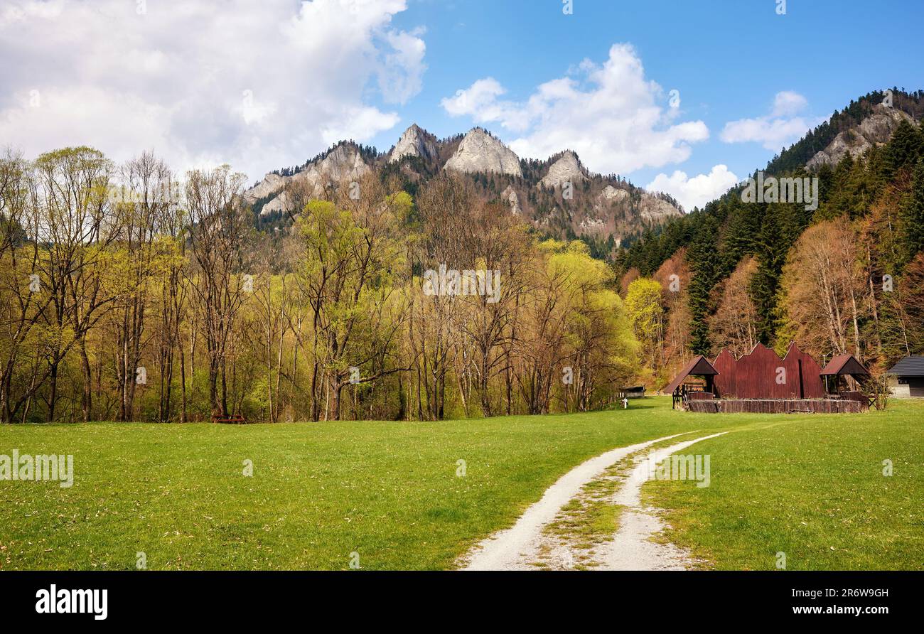 Strada sterrata che conduce al picco di Trzy Korony (tre corone) nel Parco Nazionale di Pieniny, Monastero Rosso, Slovacchia. Foto Stock