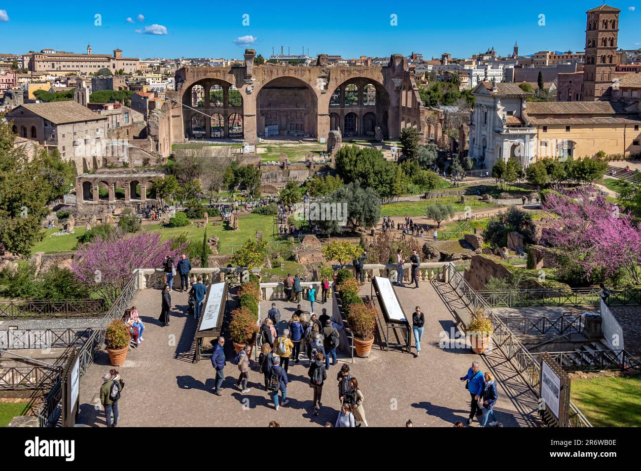 Persone ai giardini Fornesi sul Colle Palatino che guardano verso la Basilica di Massenzio e Costantino nel Foro Romano, Roma, Italia Foto Stock