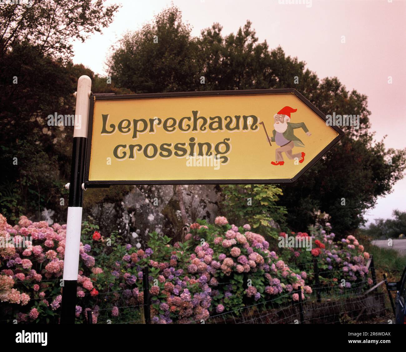 Irlanda. Contea di Kerry. Killarney National Park. Cartello "incrocio Leprechaun". Foto Stock