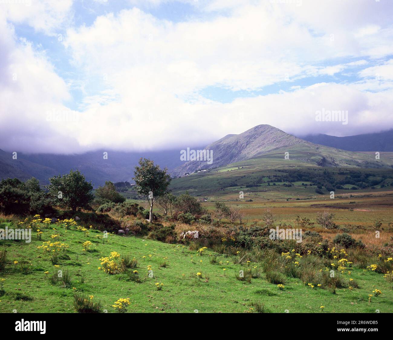 Irlanda. Contea di Kerry. Vista dall'area del lago Coomaglaslaw verso le montagne. Foto Stock