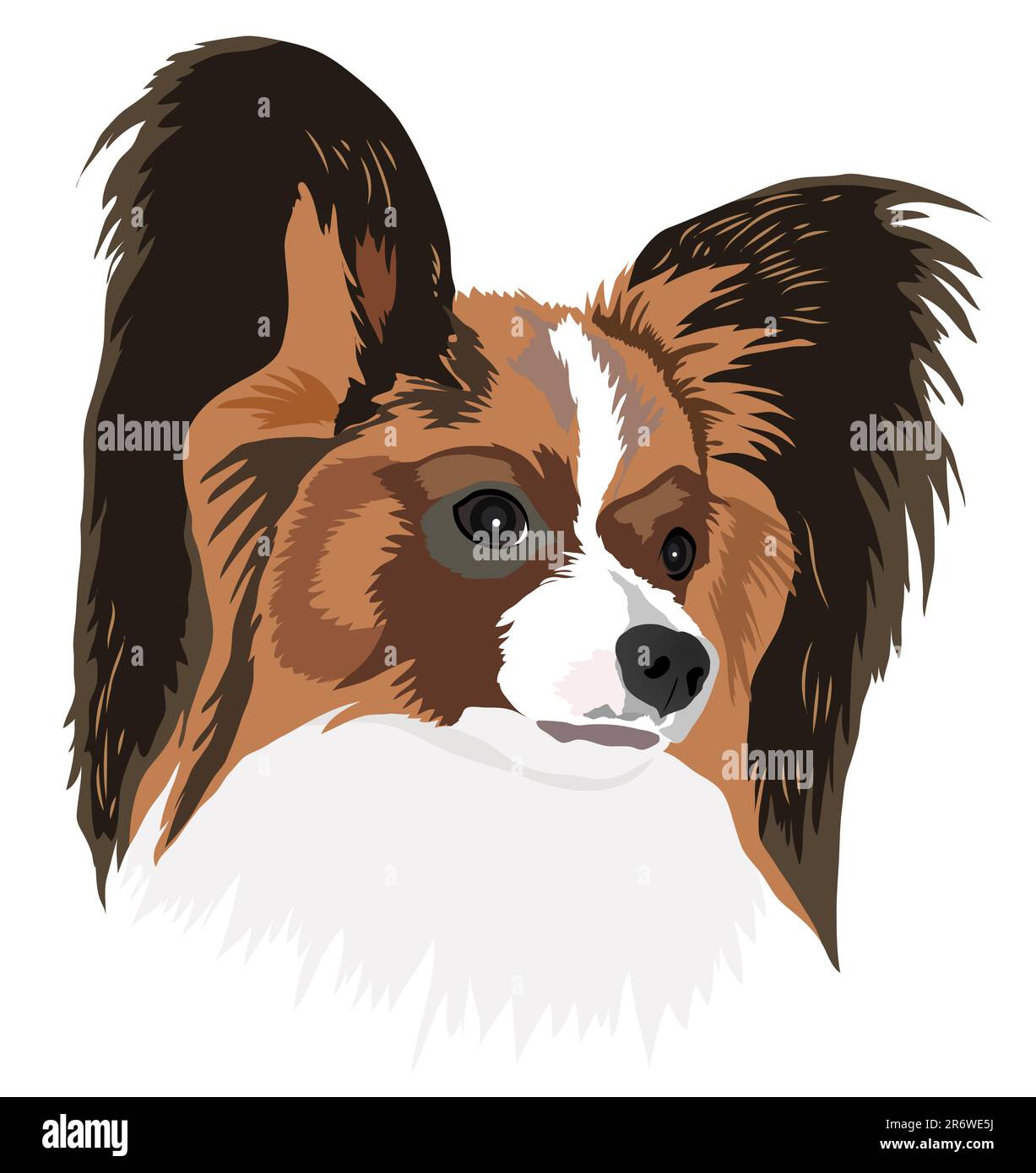 Ritratto di un cane di razza papillon. Illustrazione vettoriale Illustrazione Vettoriale