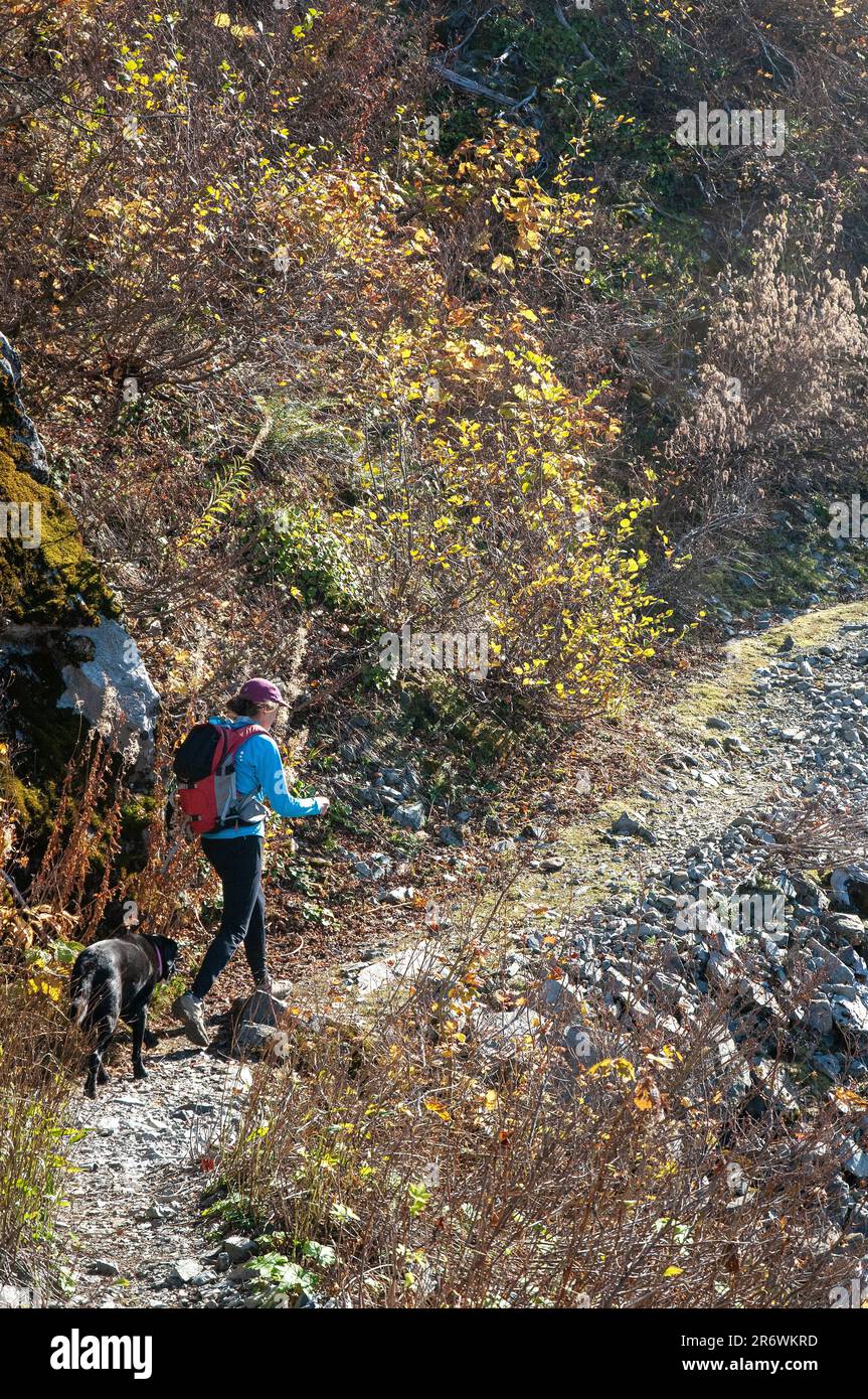 Donna adulta singola che si dirige verso Silver Star Mountain, Washington. STATI UNITI Foto Stock