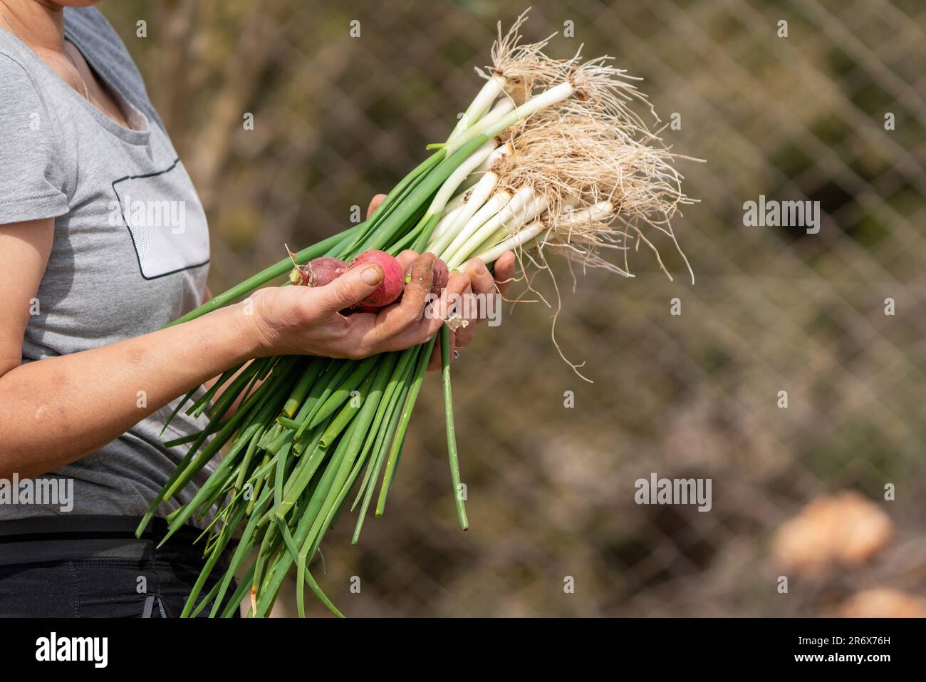 Donna che cresce e raccoglie ortaggi nel giardino in Turchia Foto Stock