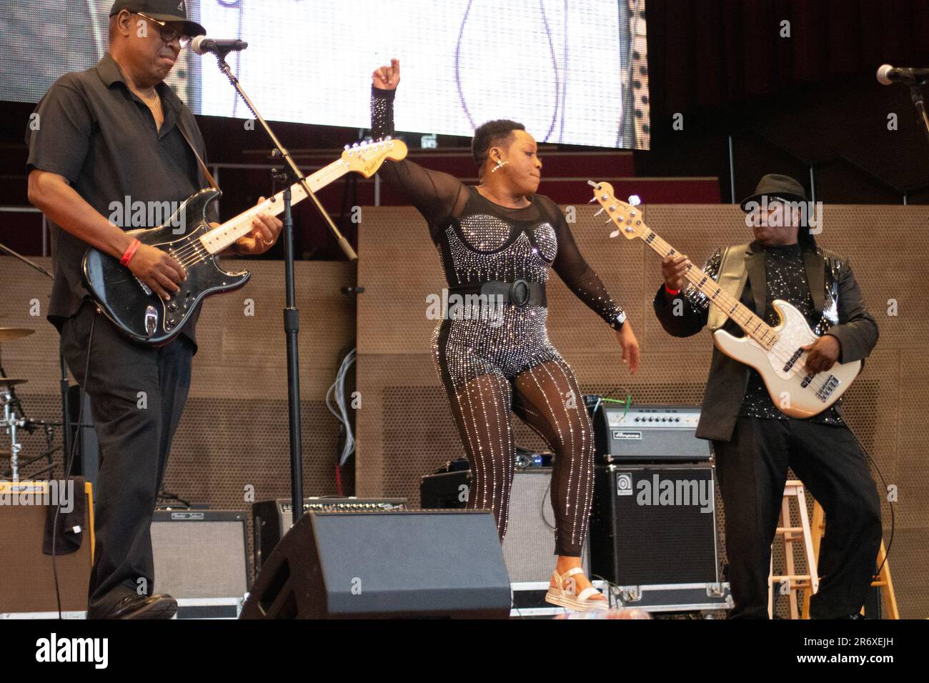 10 giugno 2023, Chicago, il, USA: Il Chicago Blues Festival ha continuato con un forte ritmo sabato sera 10th giugno. Le esibizioni di strong Blues hanno fatto ballare la folla con le braccia in aria. SugarRay Rayford, Demetria Taylor e la Mike Wheeler Band e Mud Morganfield (figlio di Muddy Waters) con una blues star stuudded band sono stati gli atti della serata. (Credit Image: © Karen I. Hirsch/ZUMA Press Wire) SOLO PER USO EDITORIALE! Non per USO commerciale! Foto Stock