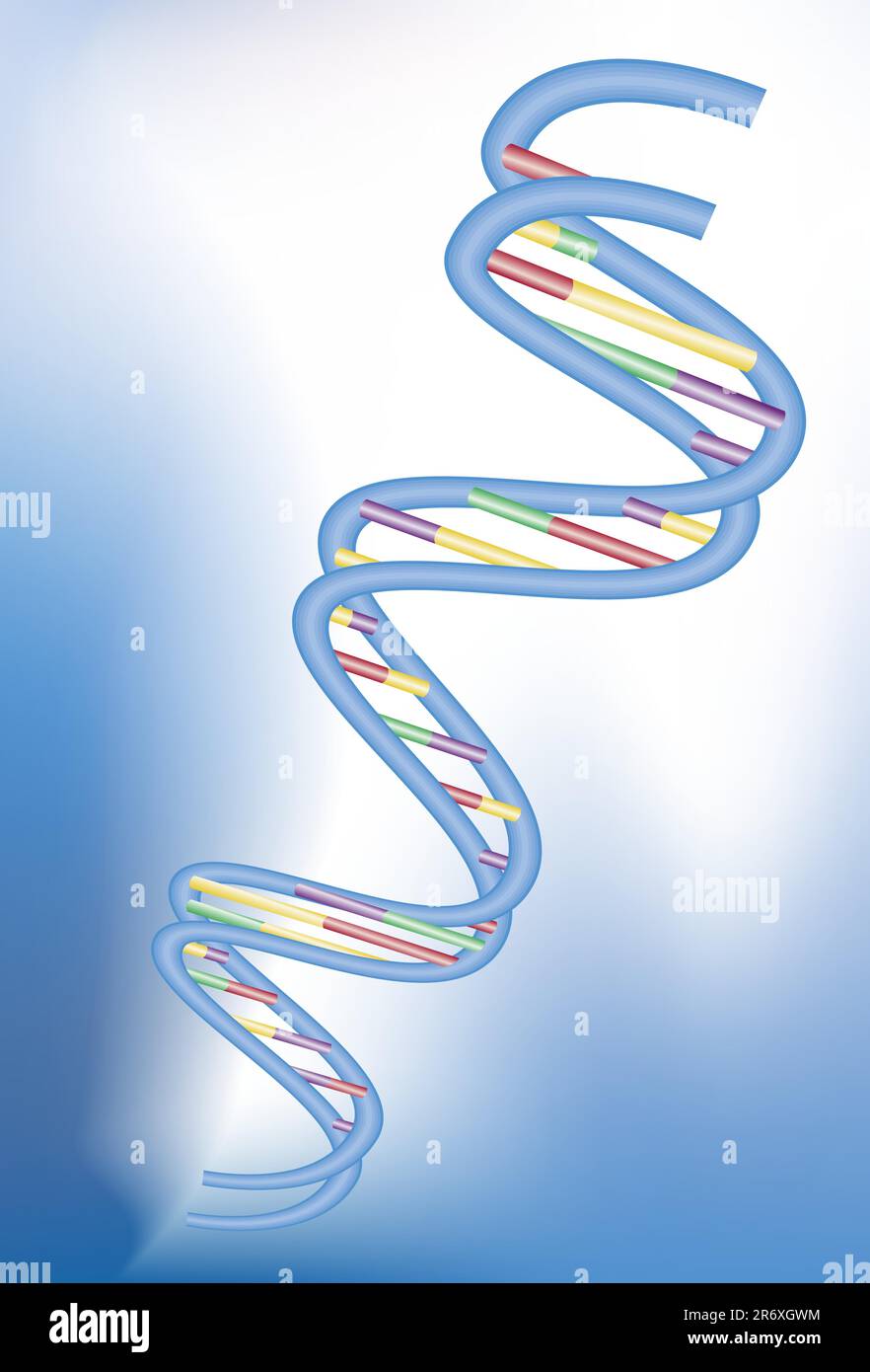 Immagine 3D di un filamento di DNA. Illustrazione Vettoriale