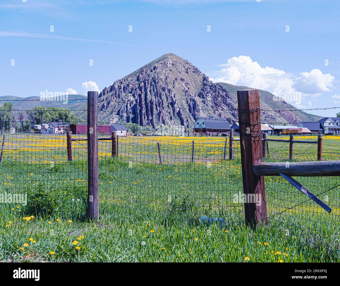Incorniciato con recinzione di terreno agricolo si vedono gli edifici e le montagne oltre i campi. Il cielo è blu con nuvole bianche. Fiori gialli tappezzano la terra in primavera. Foto Stock