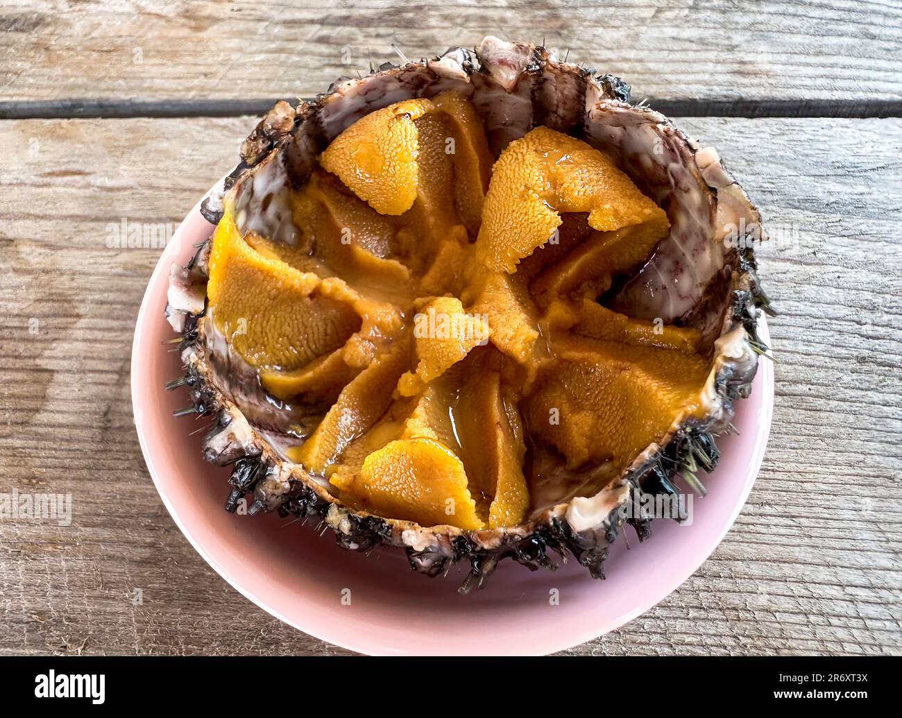 Primo piano uova fresche di riccio di mare (uni sashimi) a semiguscio, cibo tradizionale giapponese che serve su un piccolo piatto rotondo di plastica rosa su un tavolo di legno, locale Foto Stock
