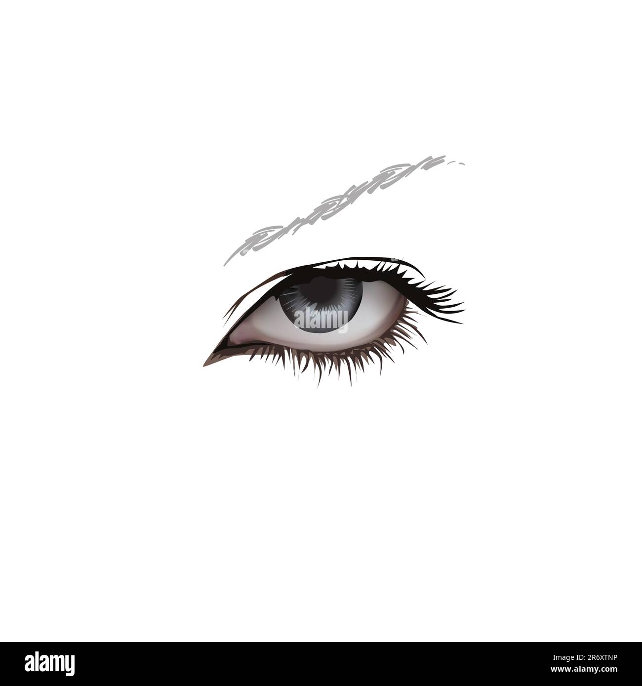 L'occhio umano sinistro su sfondo bianco. vettore Illustrazione Vettoriale