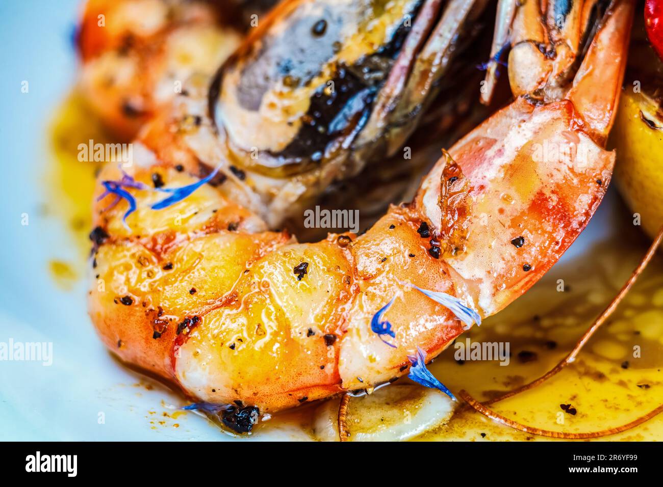 Un primo piano di un sano e fresco piatto di pesce con cozze e gamberi, perfetto per qualsiasi pasto. Foto Stock