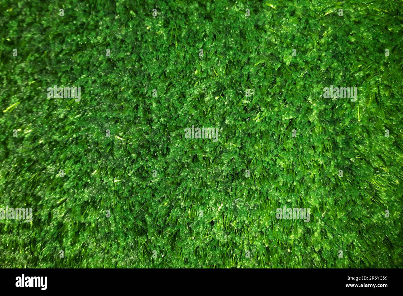 tappeto di plastica verde erba texture come sfondo molto bello Foto Stock