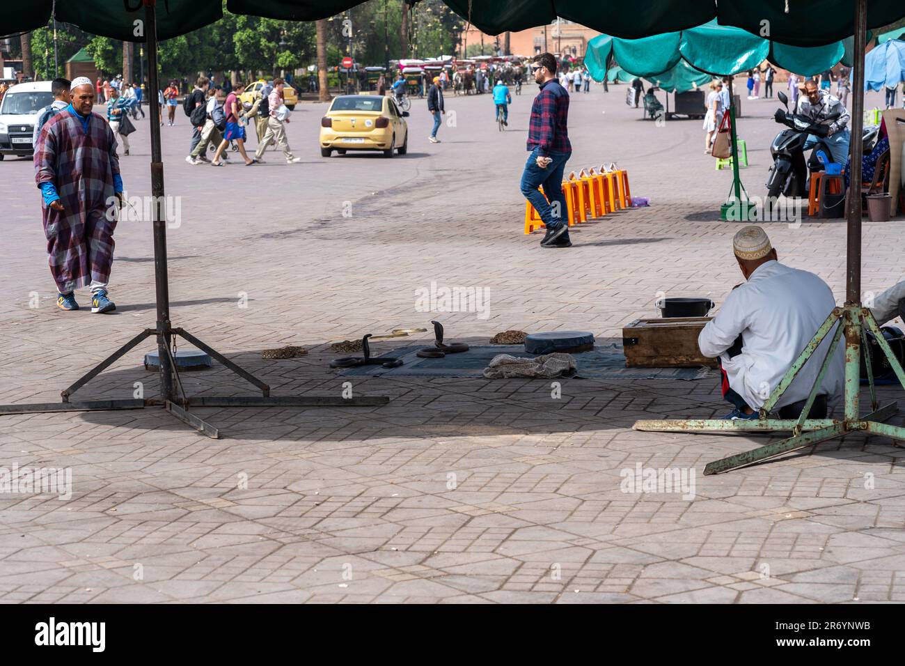 Incantatori di serpenti in piazza Jamma el-Fnaa, Marrakech, Marocco Foto Stock