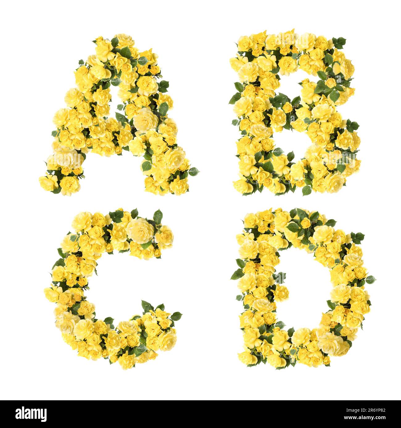 3D illustrazione dell'alfabeto maiuscolo dei fiori di rosa gialli - lettere A-D. Foto Stock