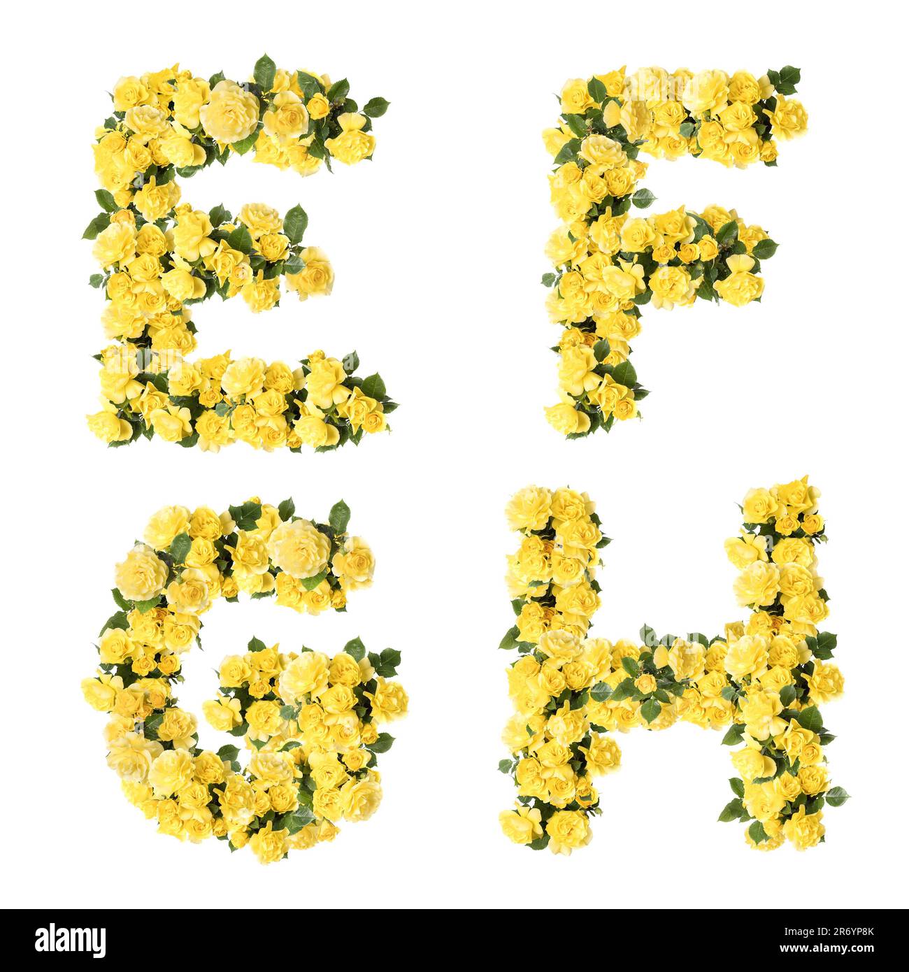 3D illustrazione dell'alfabeto maiuscolo dei fiori di rosa gialli - lettere e-H Foto Stock