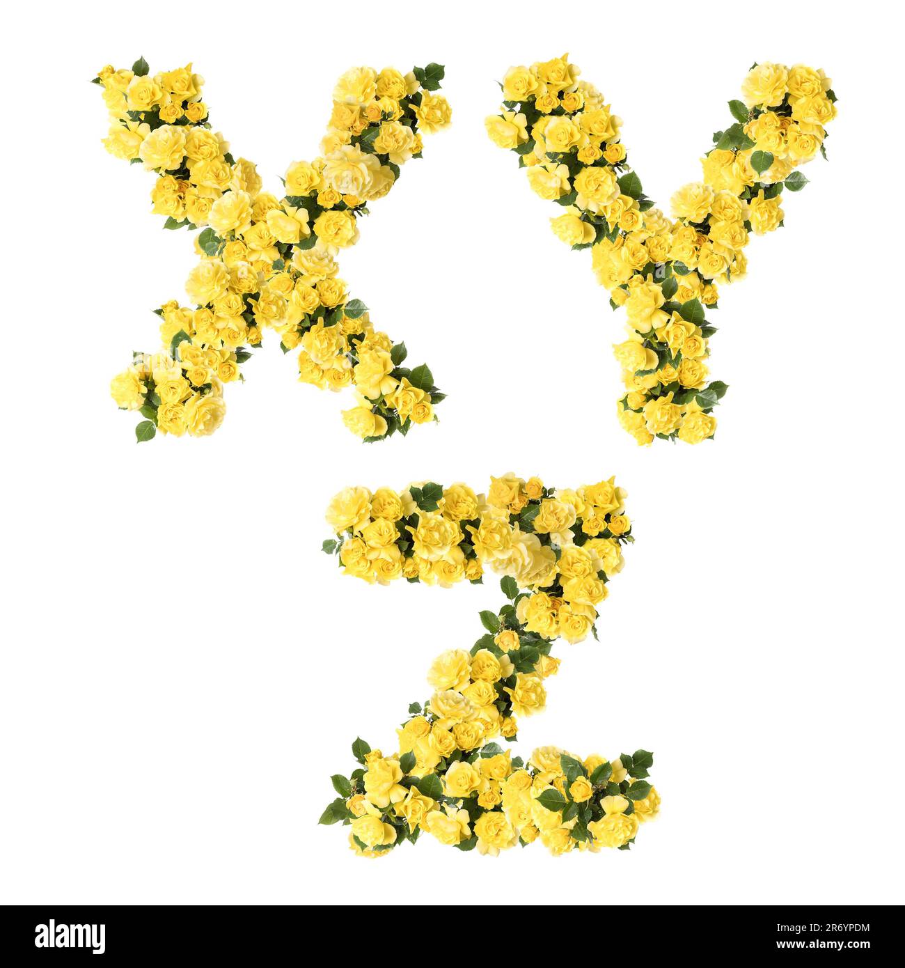 3D illustrazione dell'alfabeto maiuscolo dei fiori di rosa gialli - lettere X-Z Foto Stock