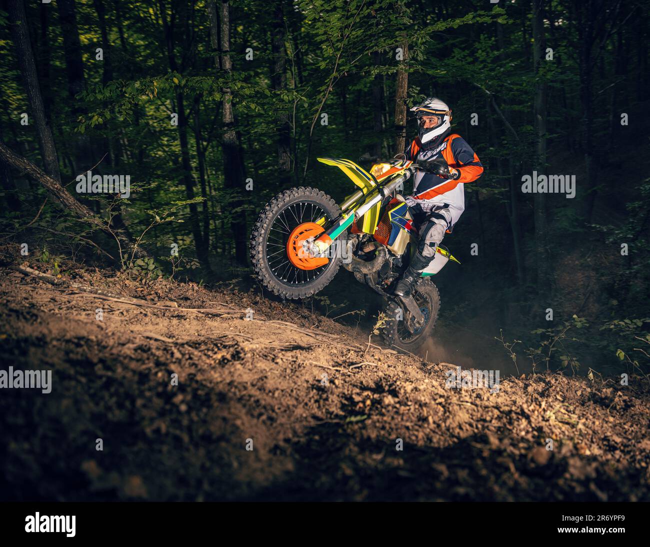Motociclista su una moto sportiva attraversa un'area boschiva difficile Foto Stock