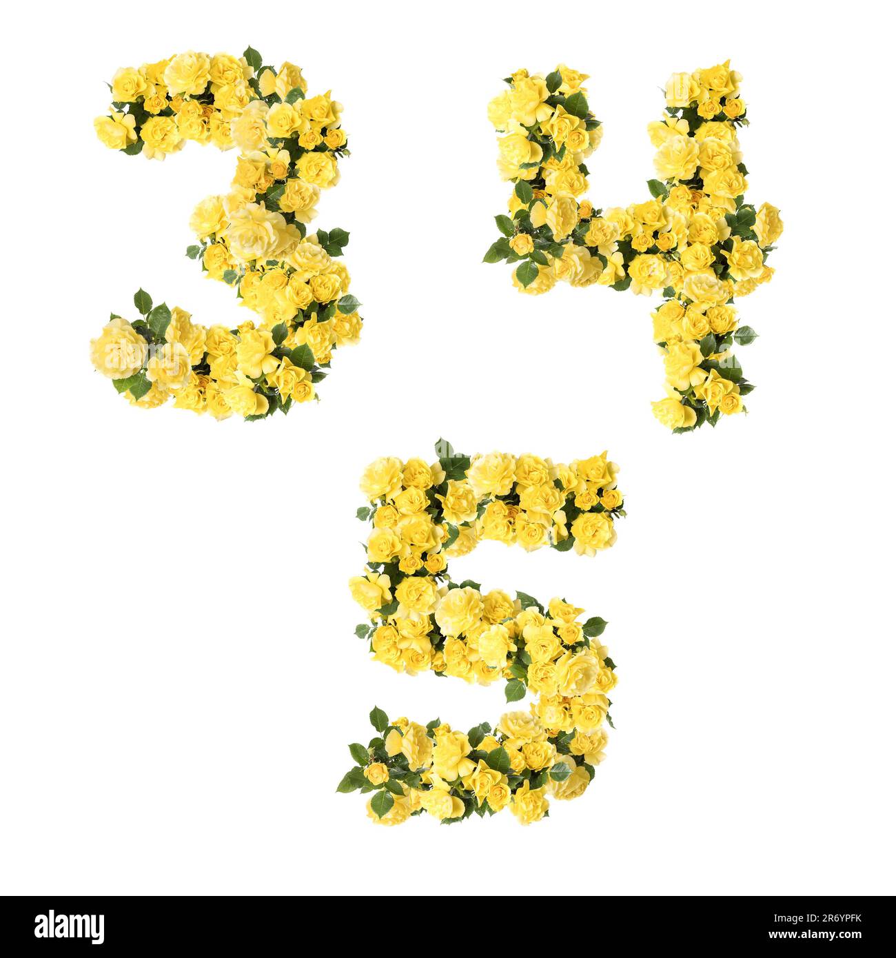 3D illustrazione dell'alfabeto maiuscolo dei fiori di rosa gialli - cifre 3-5 Foto Stock