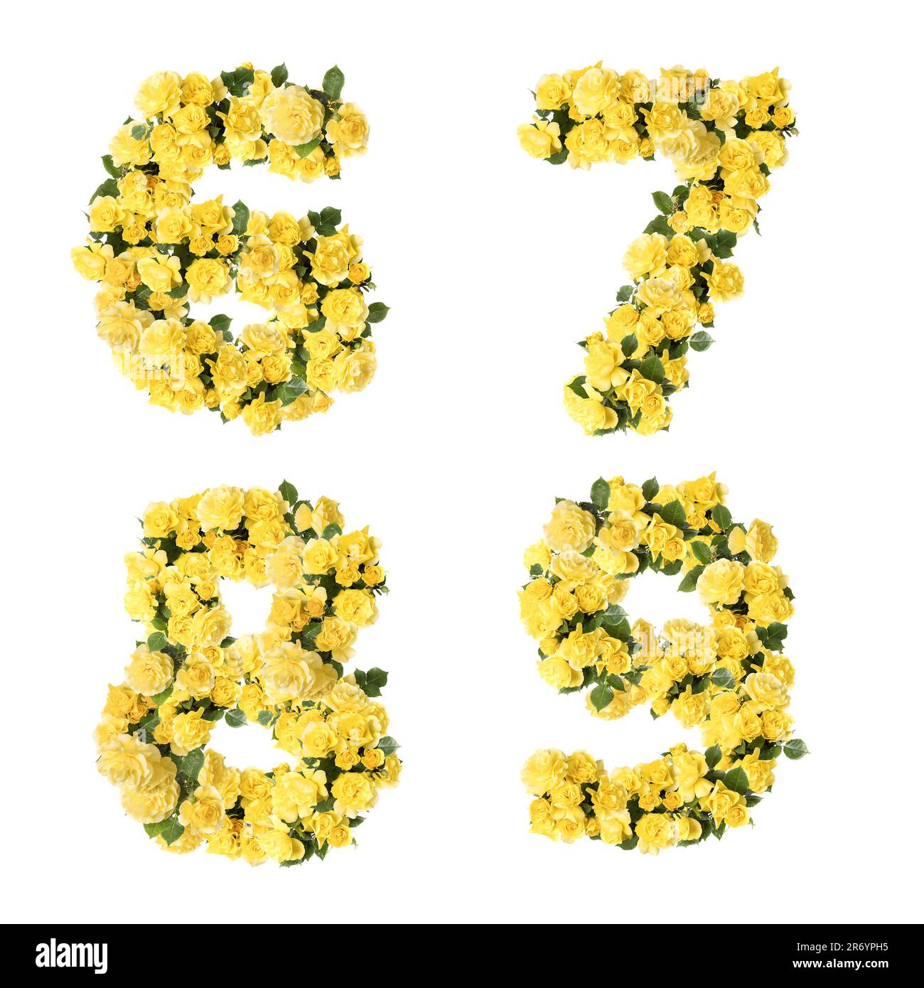 3D illustrazione dell'alfabeto maiuscolo dei fiori di rosa gialli - cifre 6-9 Foto Stock