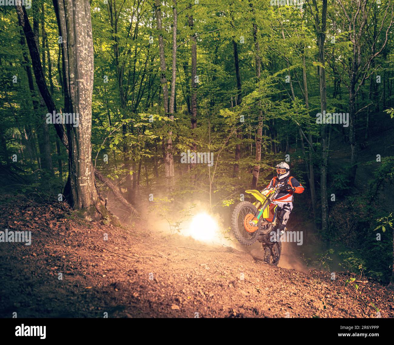 Motociclista in casco cavalca su una strada forestale sterrata Foto Stock