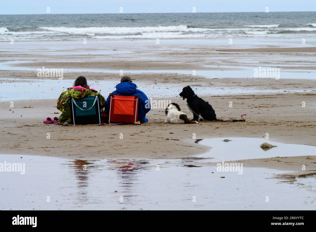 Coppia con cani seduti sul freddo e ventoso Saltburn Beach Yorkshire Foto Stock