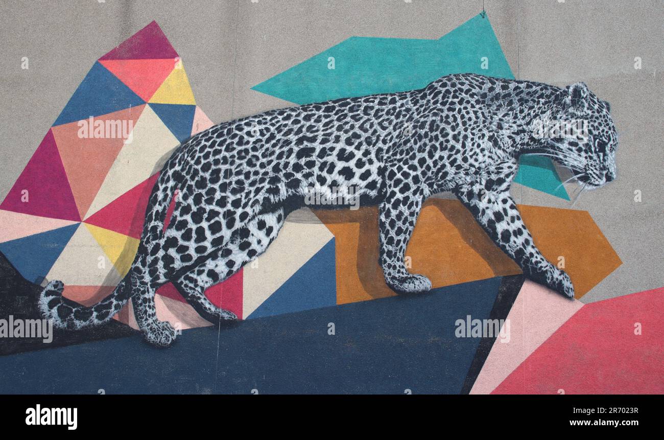 Nuart Street art, Aberdeen Foto Stock