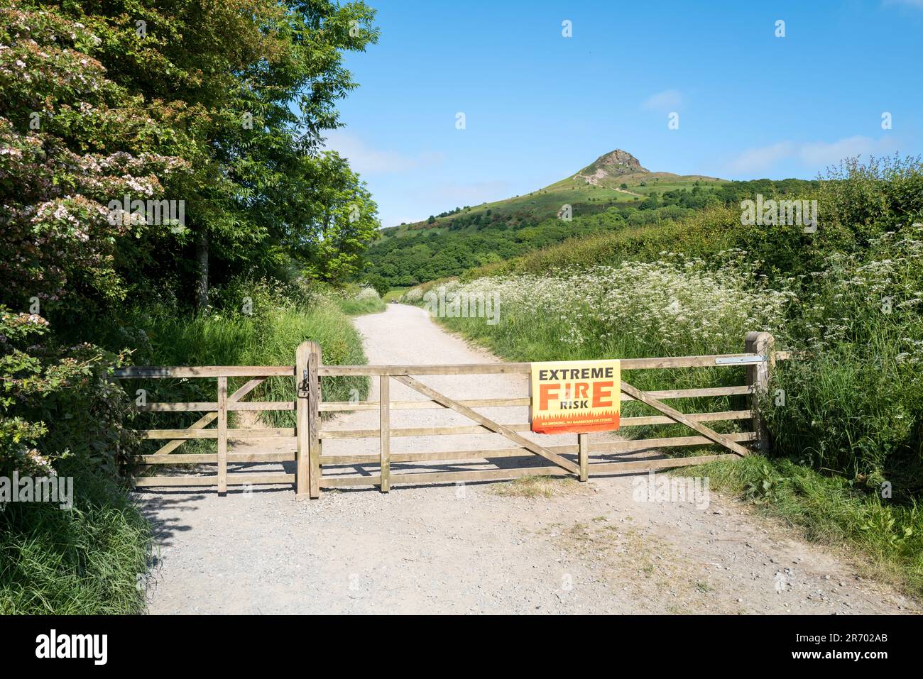 Roseberry Topping North Yorkshire Moors Foto Stock