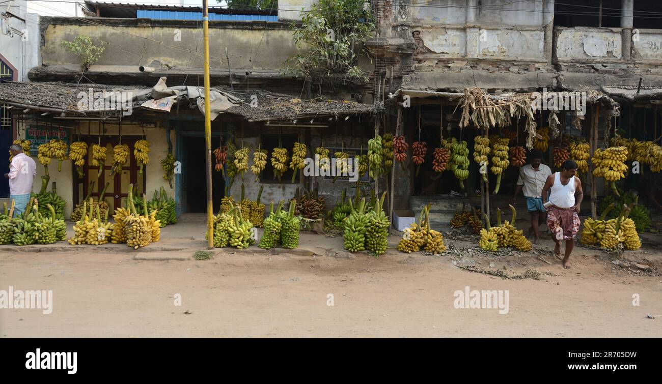 Colorate le banane vendute al mercato della banana a Madurai, India. Foto Stock