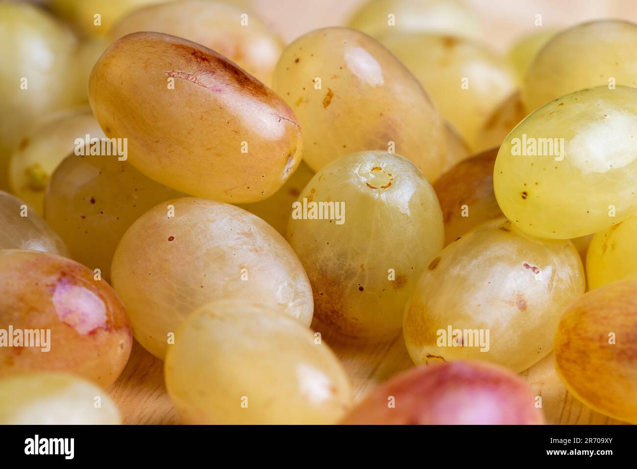 Uve verdi gialle coltivate in un vigneto di casa, raccolte uve fresche non lavate in acqua Foto Stock