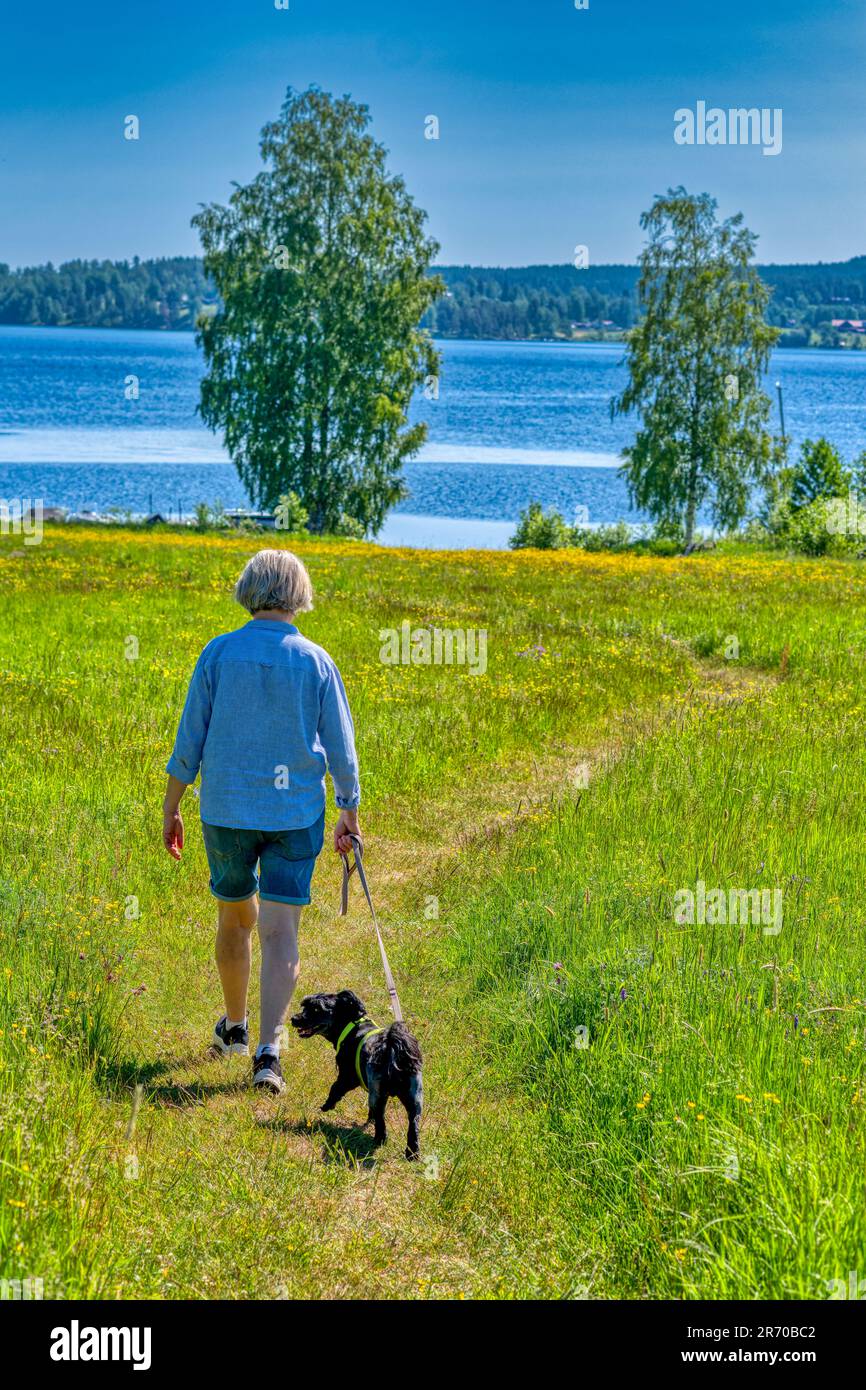 Donna che fa una passeggiata con il suo cane in una giornata di sole estate Foto Stock