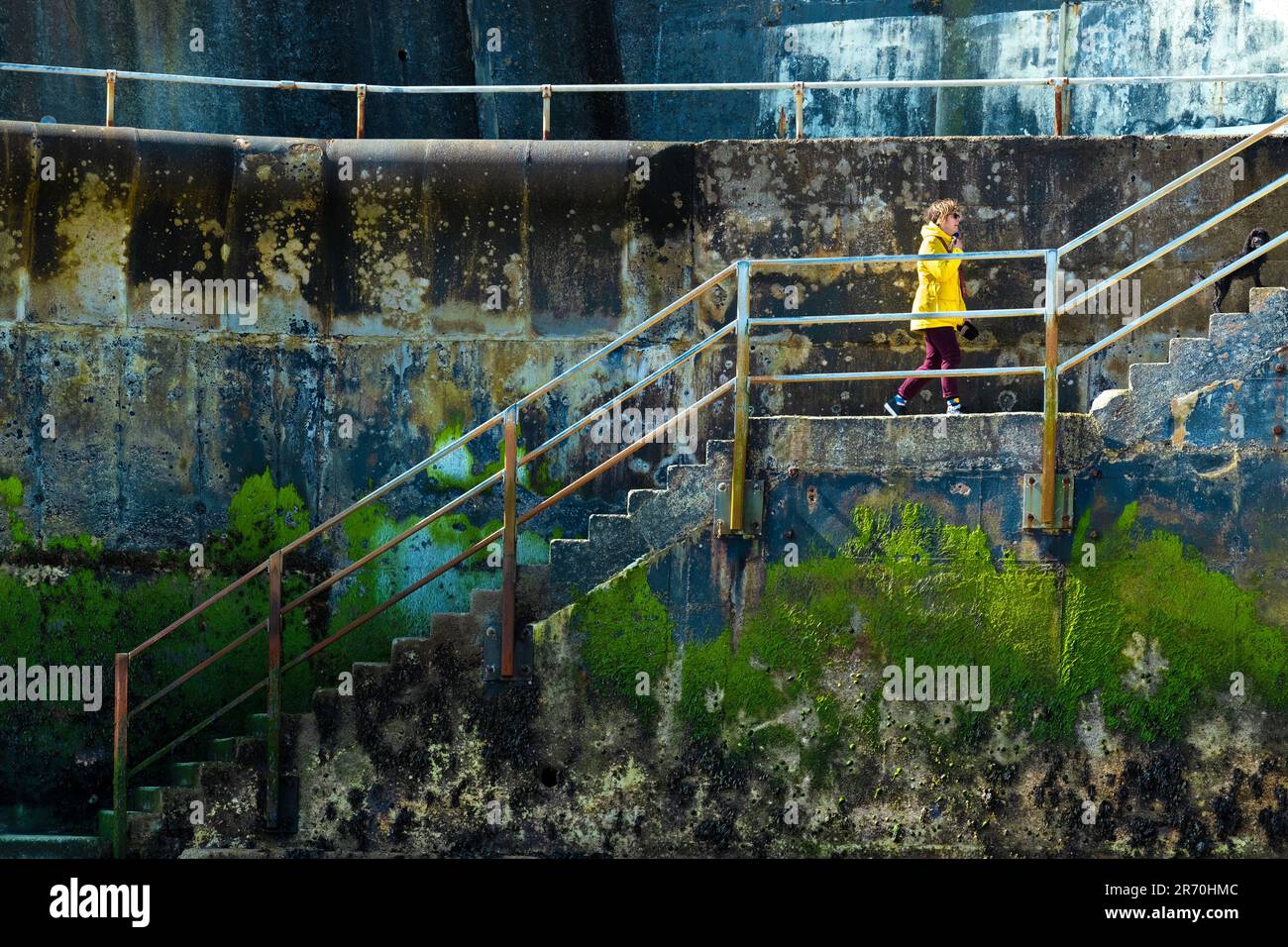 Una donna e il suo cane camminano su gradini di cemento da una spiaggia. Il lato dei gradini sono coperti di alghe verdi dopo essere stati esposti all'acqua di mare durante l'alta marea Foto Stock