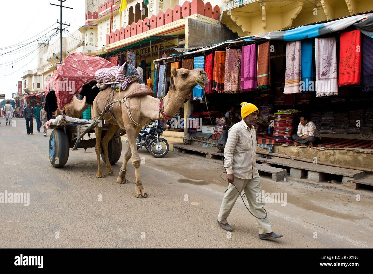Pushkar. Rajasthan. india Foto Stock