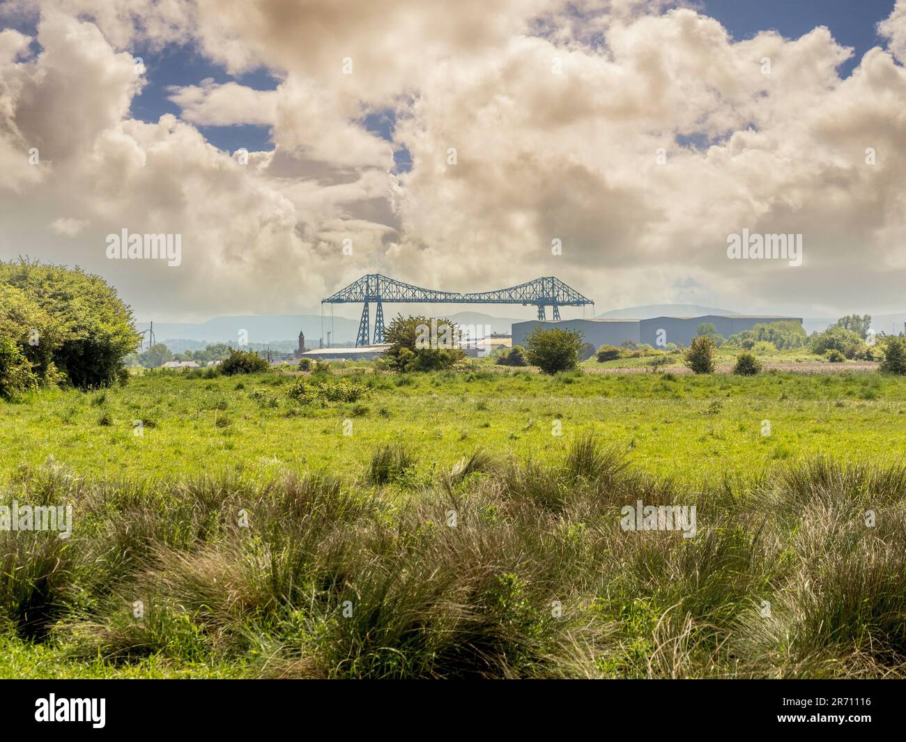 Guardando verso sud attraverso la prateria della riserva naturale di Saltholme, si prosegue verso l'iconico ponte Middlesbrough Transporter che attraversa il fiume Tees. REGNO UNITO Foto Stock