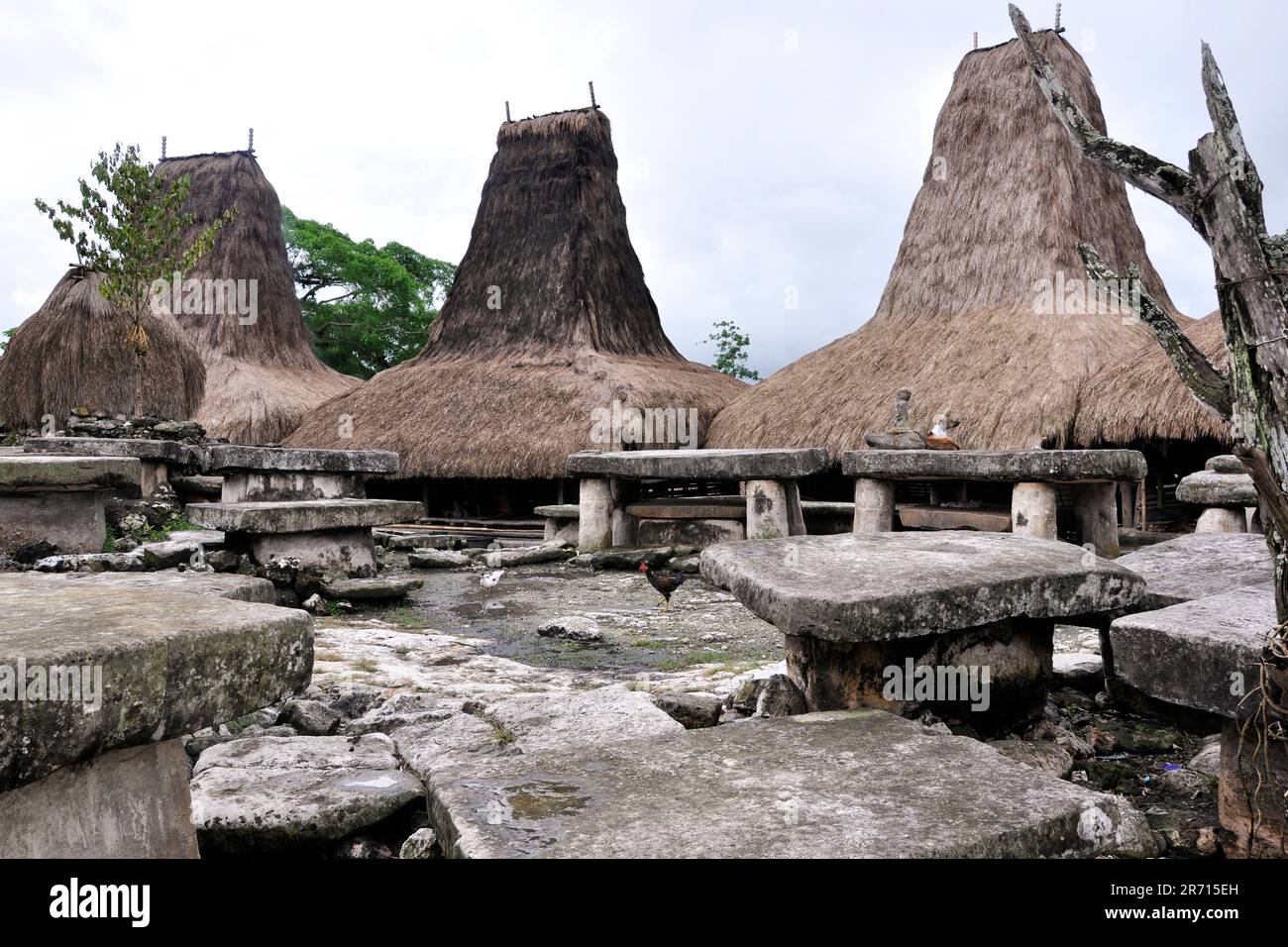 Indonesia. Isola di Sumba. Tarung villaggio Foto Stock
