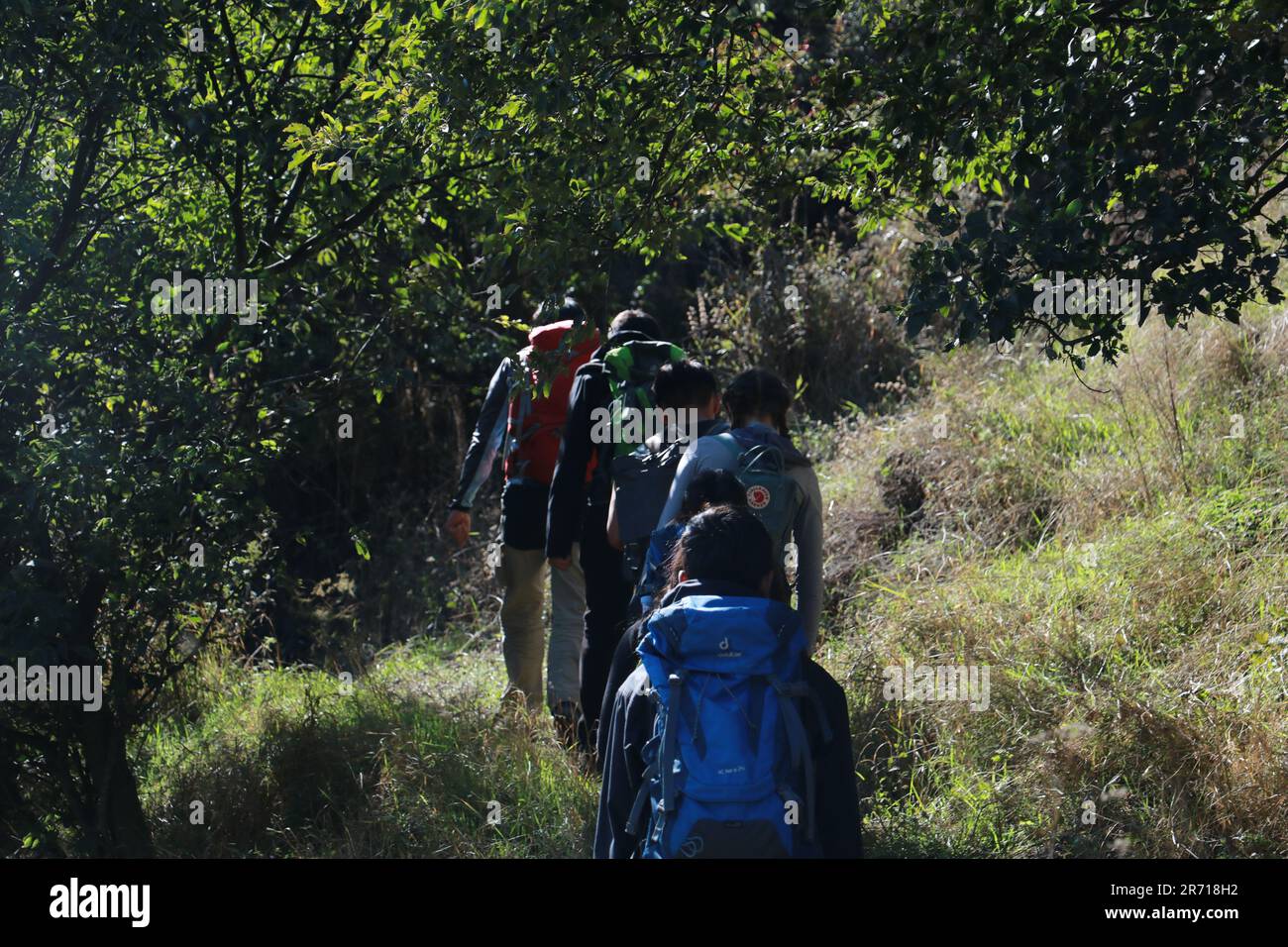 Un gruppo di studenti che camminano nella Foresta di montagna Foto Stock