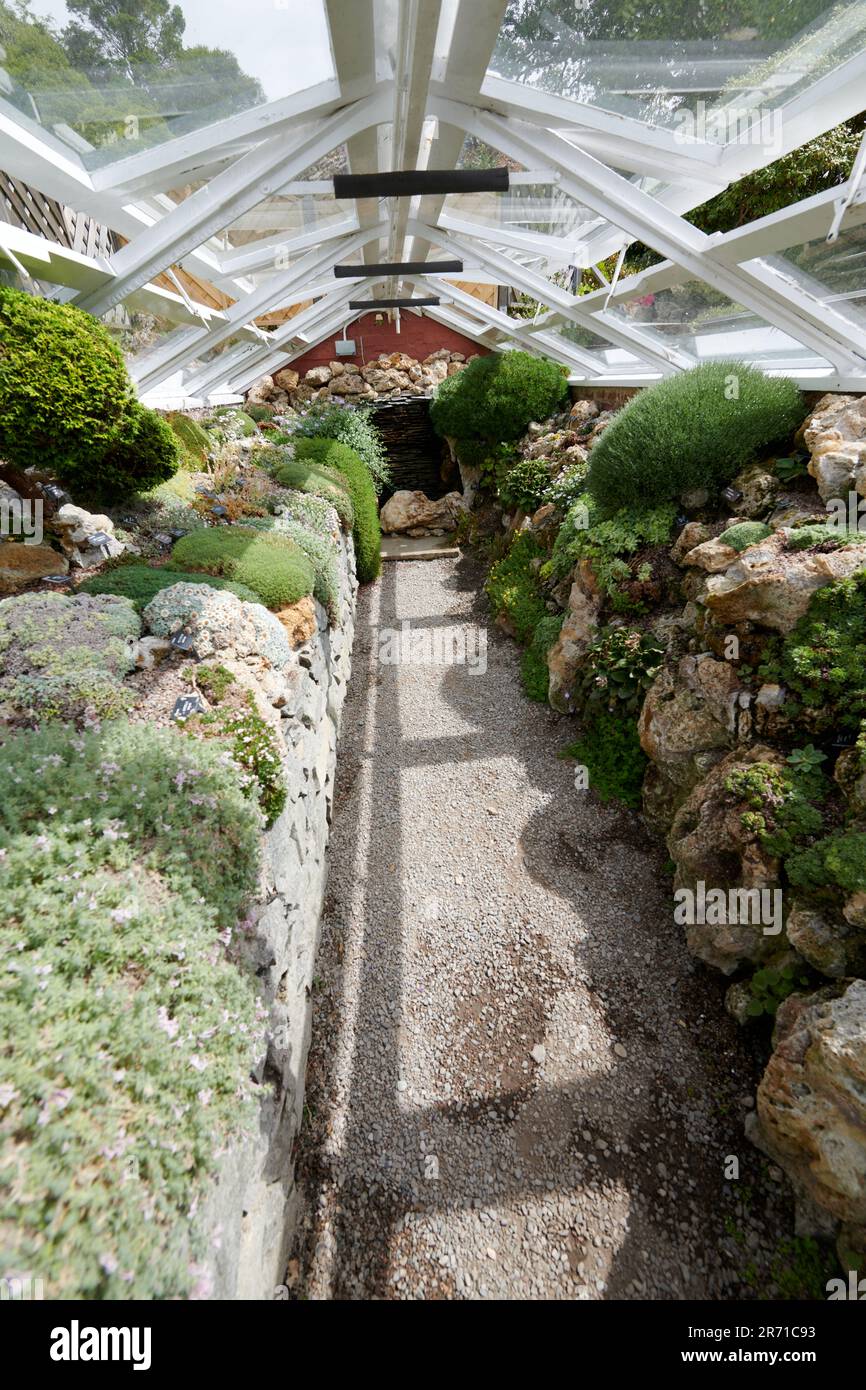 La serra alpina a Holehird Gardens, Windermere, il Lake District National Park, Cumbria, UK, GB. Foto Stock