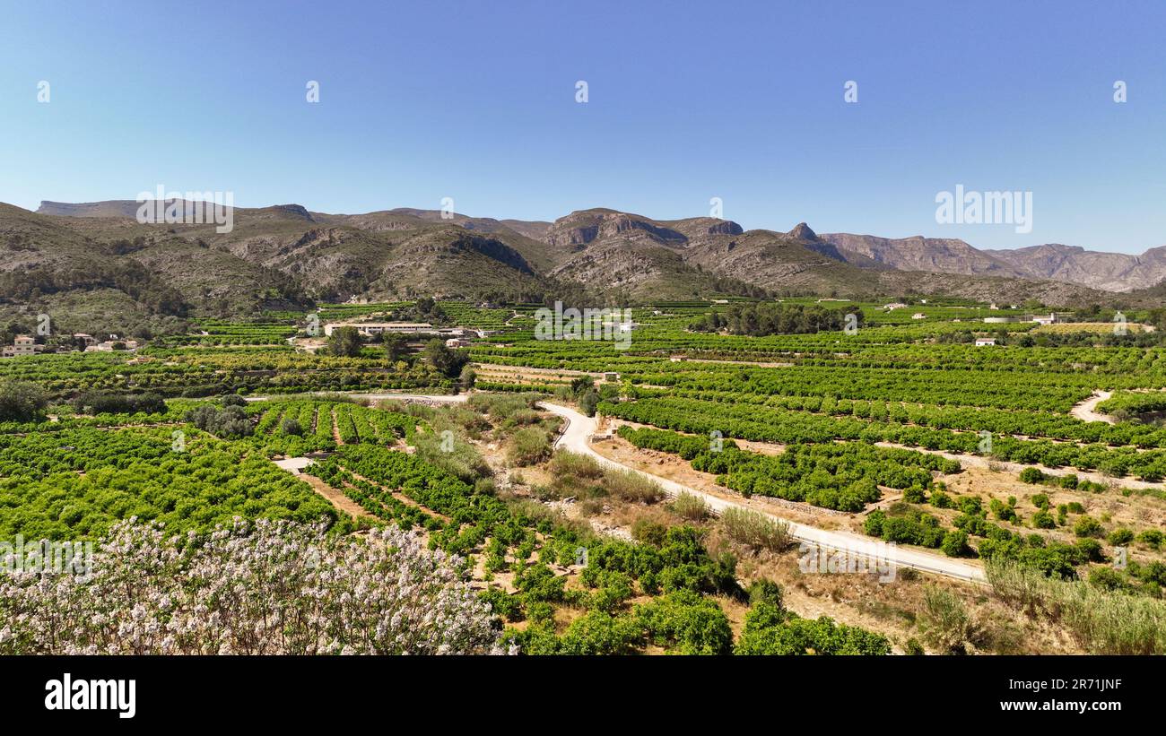 Montagne con terreni coltivati a «vigneti» in Spagna Foto Stock