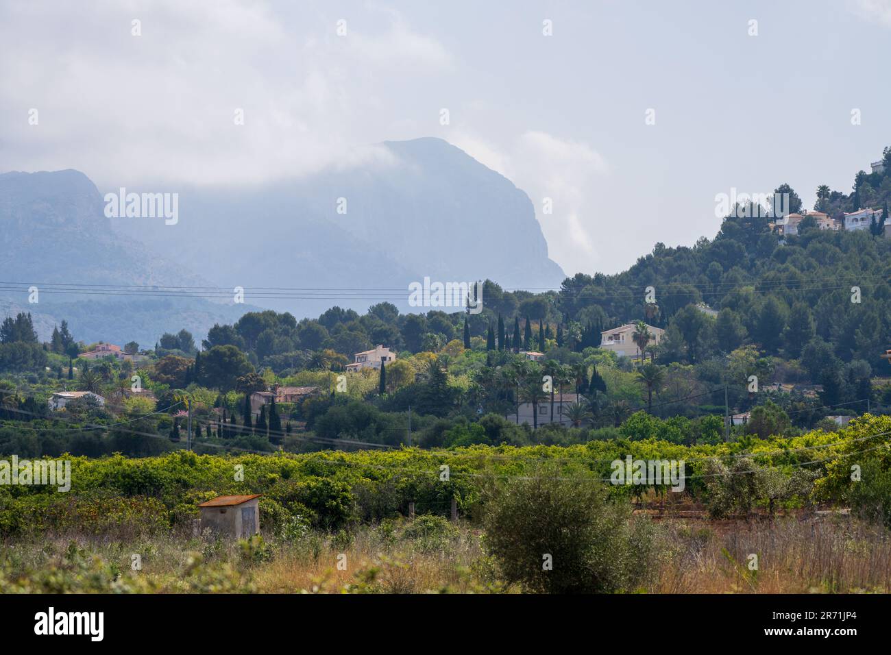 Montagne con terreni coltivati a «vigneti» in Spagna Foto Stock