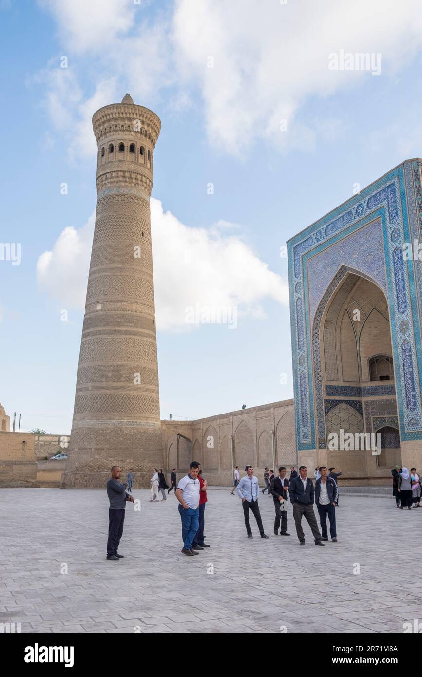 Uzbekistan. Bukhara. minareto Foto Stock