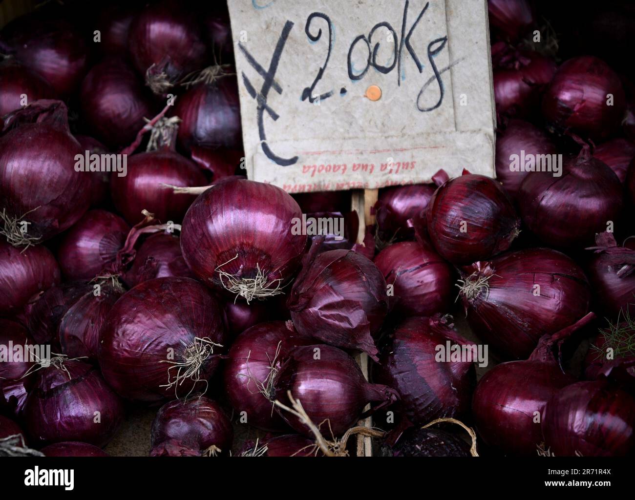 Cipolle rosse fresche e biologiche, dolci e speziate, in un mercato agricolo a Catania Sicilia, Italia. Foto Stock Cipolle rosse fresche e biologiche, dolci e speziate, in un mercato agricolo a Catania Sicilia, Italia. Foto Stock