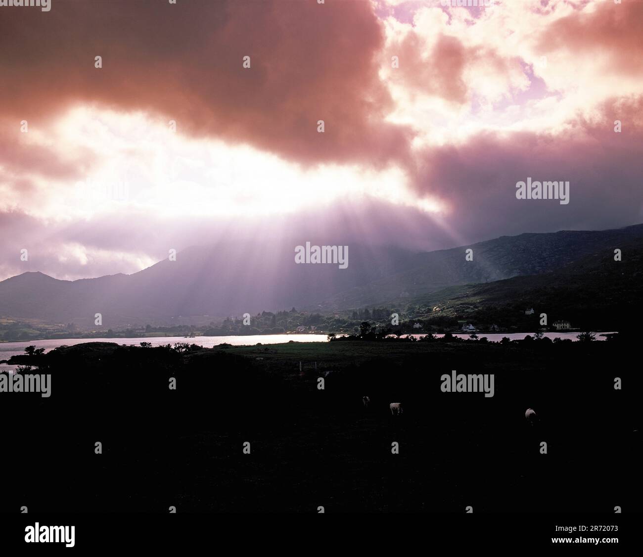 Irlanda. Contea di Cork. Penisola di Beara. Adrigole Bay e Hungry Hill Mountain. Foto Stock