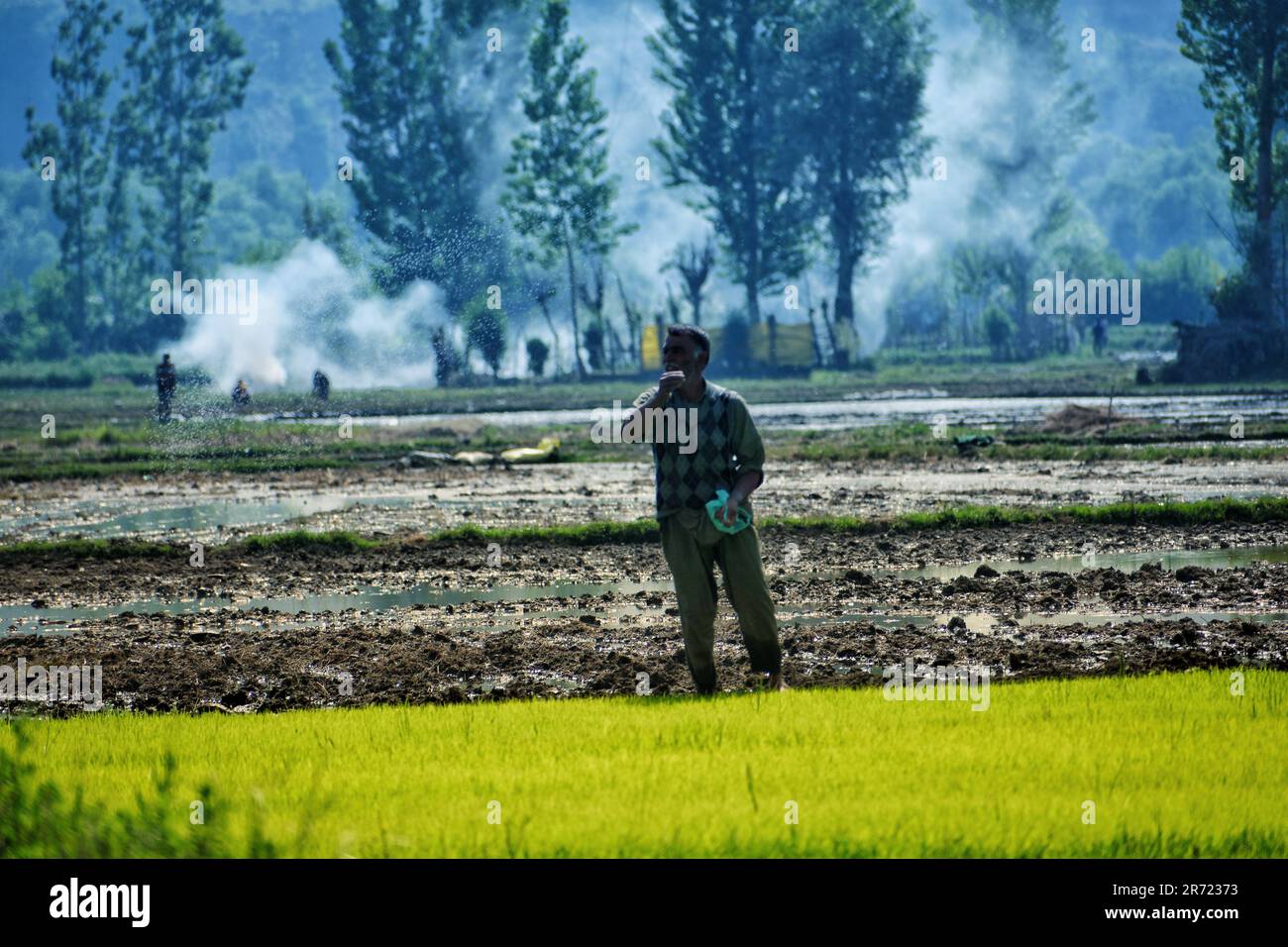 11 giugno 2023, Srinagar, Jammu e Kashmir, India: Kashmiri uomo che lavora sulla coltivazione del riso in un campo inondato di acqua nelle pianure che circondano Kashmir il 12 giugno 2023 in Awanti Pora, 45 km (30 miglia) a sud di Srinagar, in indiano amministrato Kashmir. (Credit Image: © MUbashir Hassan/Pacific Press via ZUMA Press Wire) SOLO PER USO EDITORIALE! Non per USO commerciale! Foto Stock