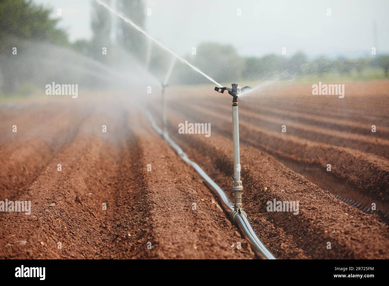 Attrezzature agricole di irrigazione spruzzando acqua su asciutto archiviato. Temi siccità, ambiente e agricoltura. Foto Stock