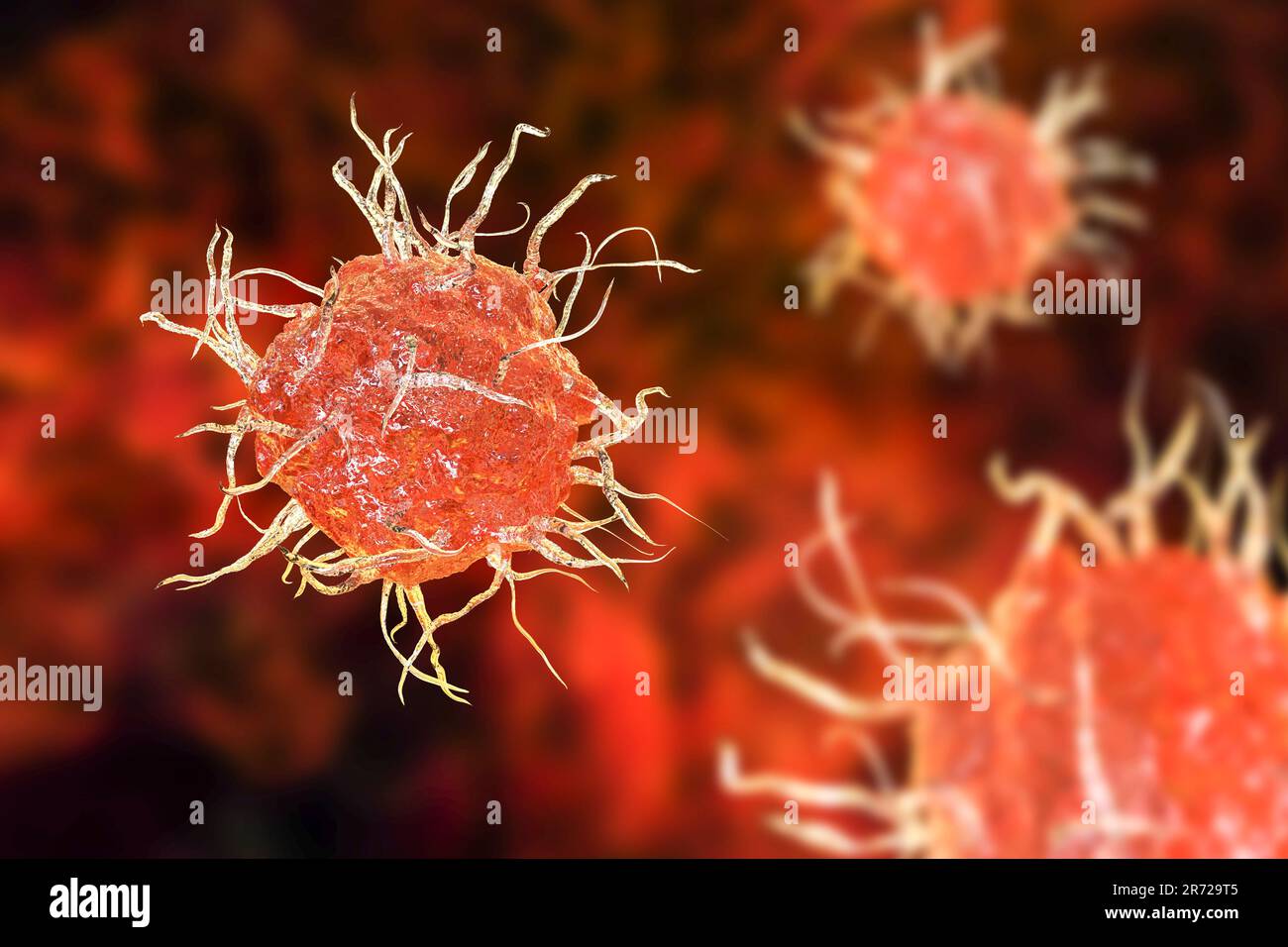 Cella dendritica, illustrazione del computer. La cellula dendritica è un tipo di globuli bianchi. È cellula che presenta l'antigene (APC), che presenta gli antigeni a. Foto Stock