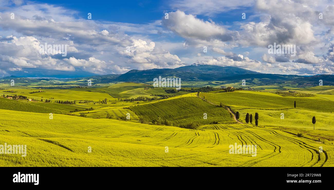 Un'ampia immagine panoramica 2x1 dalla Toscana, Italia centrale, in Val d'Orcia. Questa scena, vicino a Pienza, mostra Agriturismo Podere Terrapille. La vista bec Foto Stock