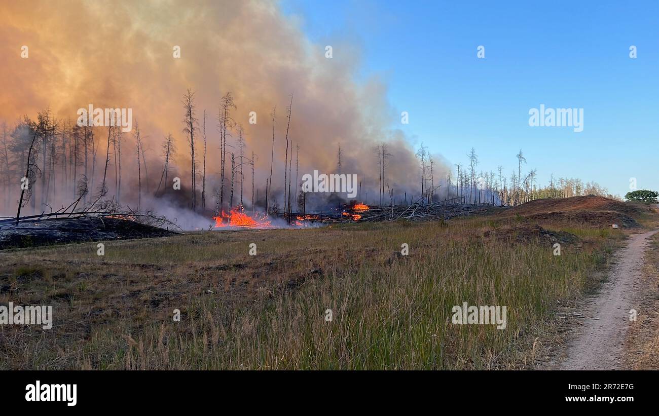 12 giugno 2023, Meclemburgo-Pomerania occidentale, Lübtheen: Fumo e fiamme in una zona forestale. Lunedì sono scoppiati incendi in due ex zone di addestramento militare nel Meclemburgo-occidentale. Foto: Thomas Schulz/dpa Foto Stock