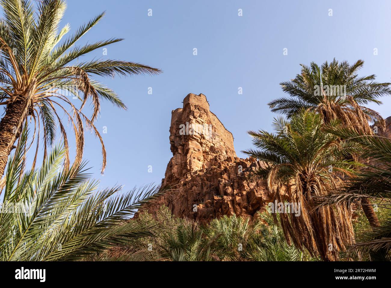 agadir vecchio Aguellouy in Amtoudi, un vecchio granaio, nelle montagne anti-Atlante del Marocco Foto Stock