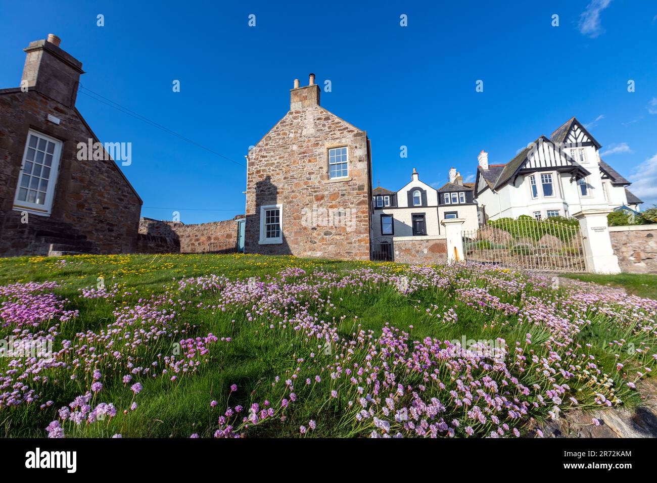 Case in pietra con prati in fiore in Toft Street, Elie and Earlsferry, Fife, Scozia, Regno Unito Foto Stock