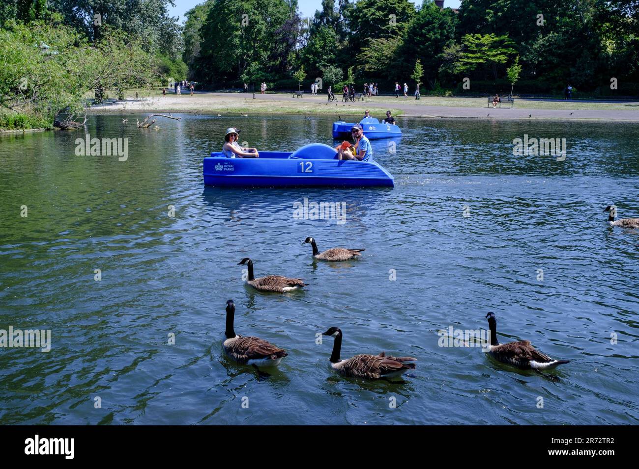 Il lago per imbarcazioni del Regent's Park, Londra, Regno Unito Foto Stock