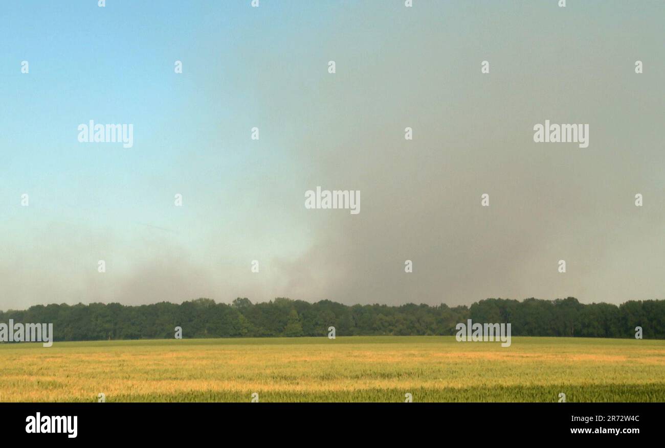 Hagenow, Germania. 12th giugno, 2023. Video Still - nuvola di fumo da un incendio boschivo su una zona boschiva nei pressi di Hagenow (distretto di Ludwigslust-Parchim). Due incendi boschivi a sud-ovest del Meclemburgo-Pomerania anteriore si sono diffusi con grande velocità a causa dei venti gustati. (Migliore qualità possibile) Credit: Steven Hutchings/TNN/dpa/Alamy Live News Foto Stock