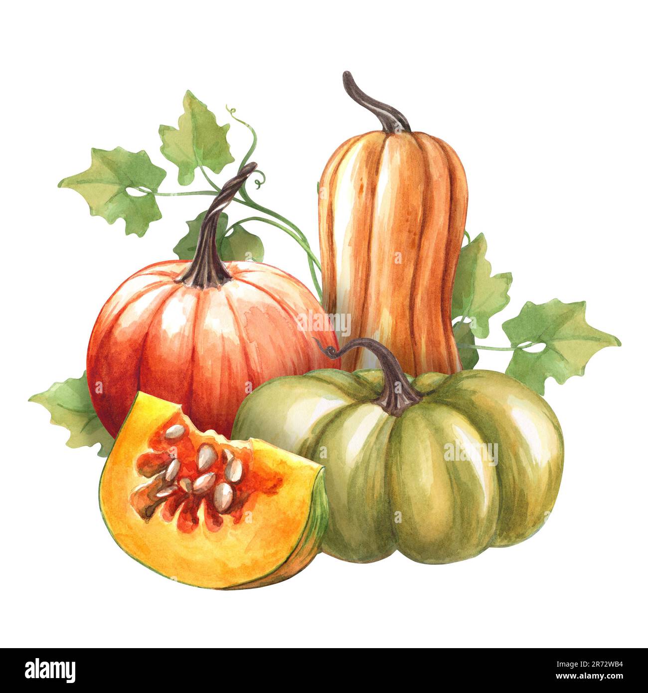 Acquerello illustrazione di zucca disegnata a mano. Composizione di zucche brillanti. Clipart per la progettazione di cartoline e inviti sul tema autunnale Foto Stock